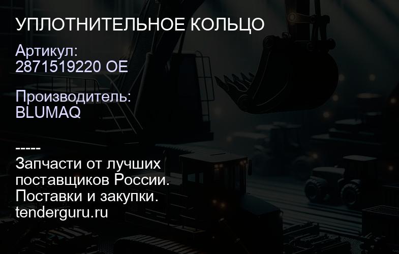 2871519220 OE УПЛОТНИТЕЛЬНОЕ КОЛЬЦО | купить запчасти